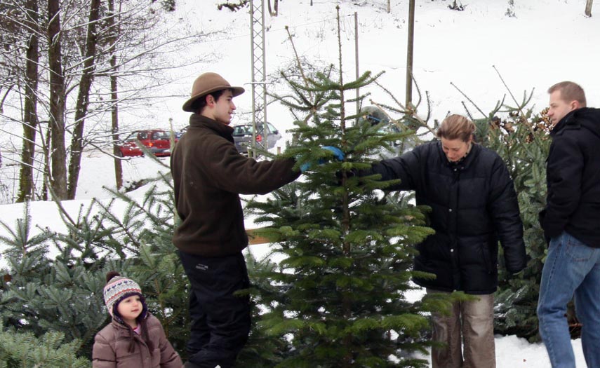 Weihnachtsbaum kaufen